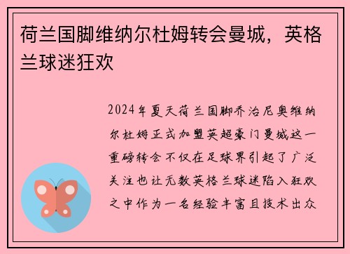 荷兰国脚维纳尔杜姆转会曼城，英格兰球迷狂欢