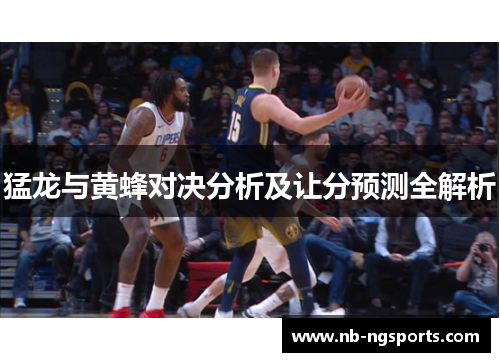 猛龙与黄蜂对决分析及让分预测全解析