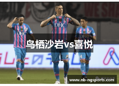 鸟栖沙岩vs喜悦