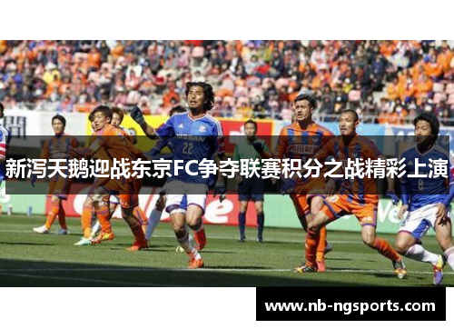 新泻天鹅迎战东京FC争夺联赛积分之战精彩上演