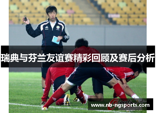 瑞典与芬兰友谊赛精彩回顾及赛后分析